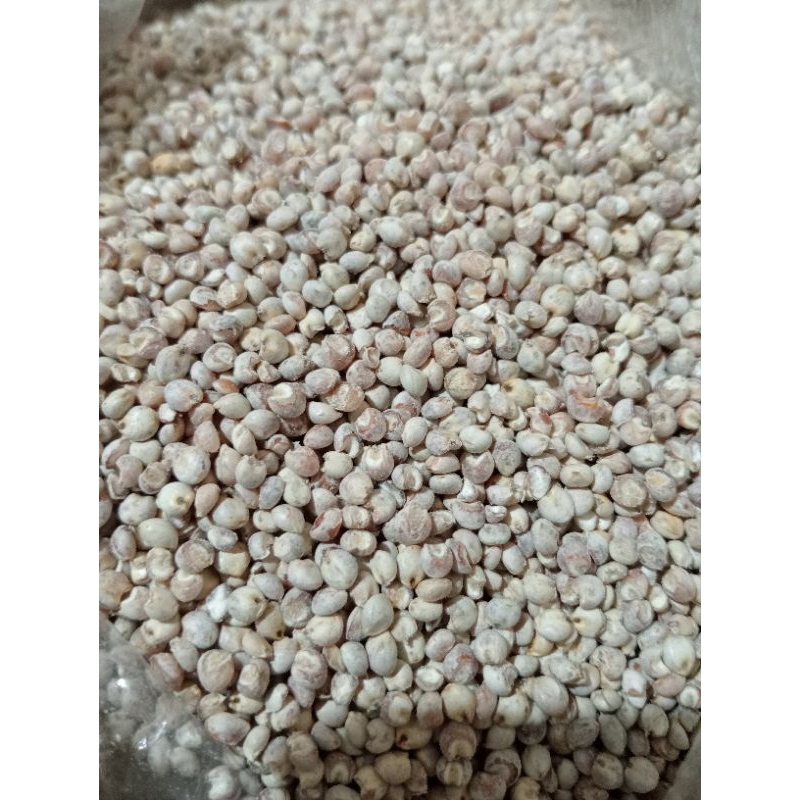 

1 Kilogram Beras Sorgum Bioguma