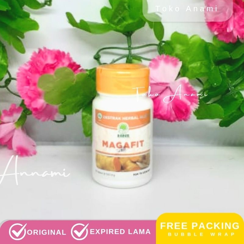 Magafit HNI HPAI Maag Gerd Asam Lambung
