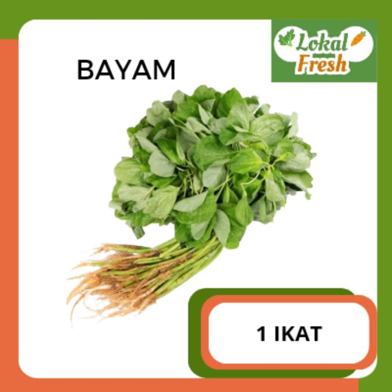 

BAYAM | 1 IKAT | LOKAL LRESH