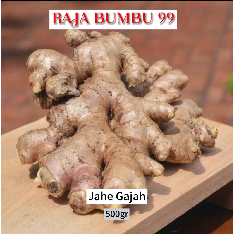 

JAHE GAJAH 500 gr