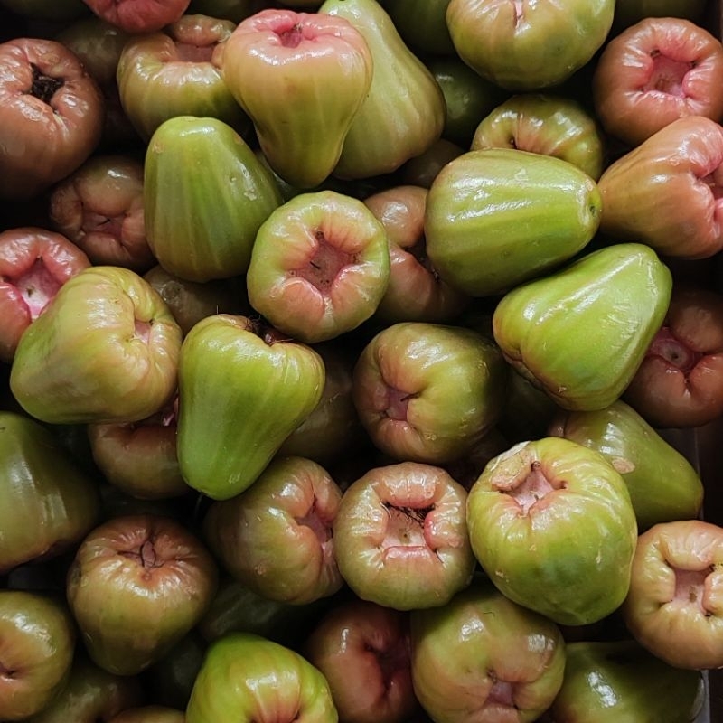 

[JAMBU CINCALO MANIS KUALITAS SUPER KIRIM INSTAN/SAMEDAY] Jambu Air Cincalo Manis