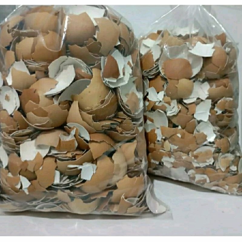

Kulit Telur/ Cangkang Telur 1Kg