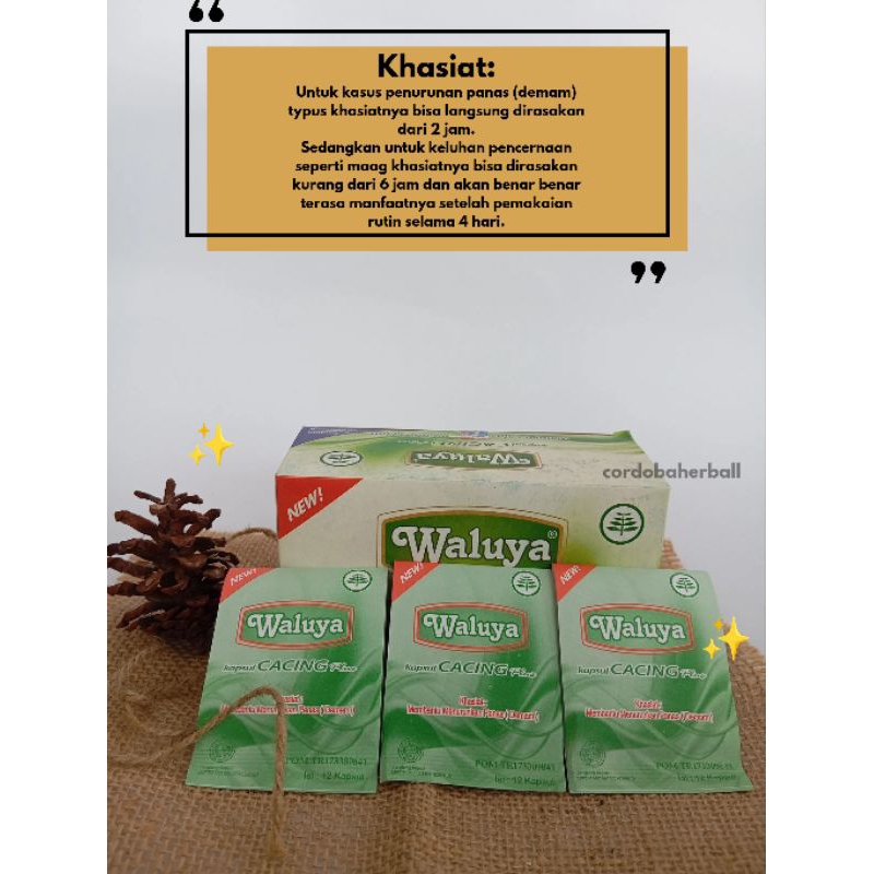 

KAPSUL CACING WALUYA