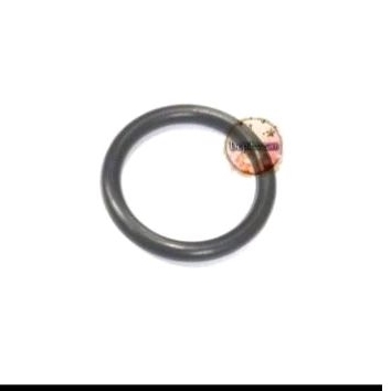 Oring Piston HM4-28 bitec