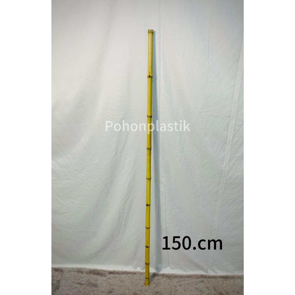 Batang bambu T 150cm / 1,5 Meter - Bambu Cendani Asli PENGIRIMAN KE SELURUH INDONESIA - Pohon Bambu 