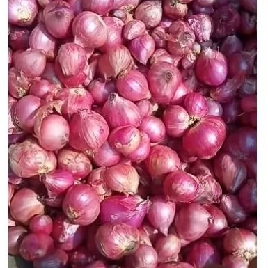 

bawang merah berat 8 kg bagus dan besar sangat kering berkualitas