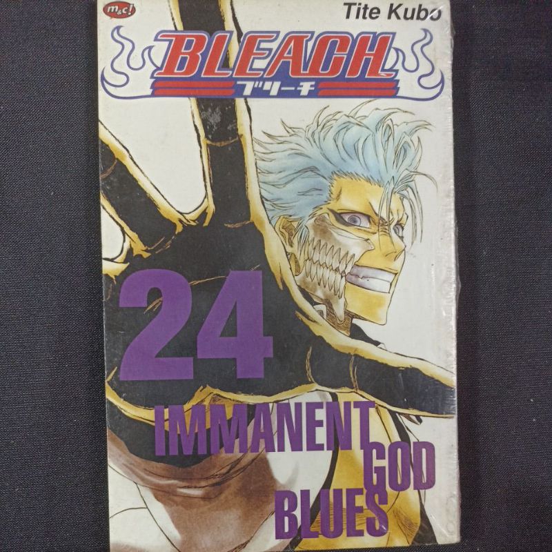 Komik Bleach 24 (segel)