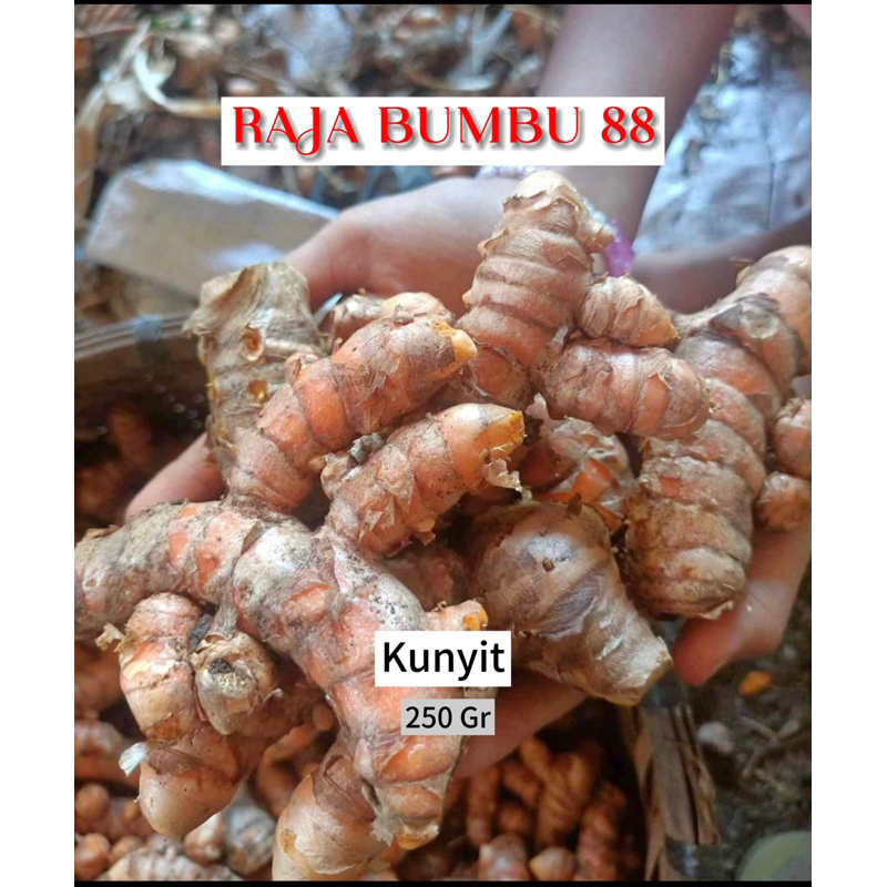 

KUNYIT 250gr