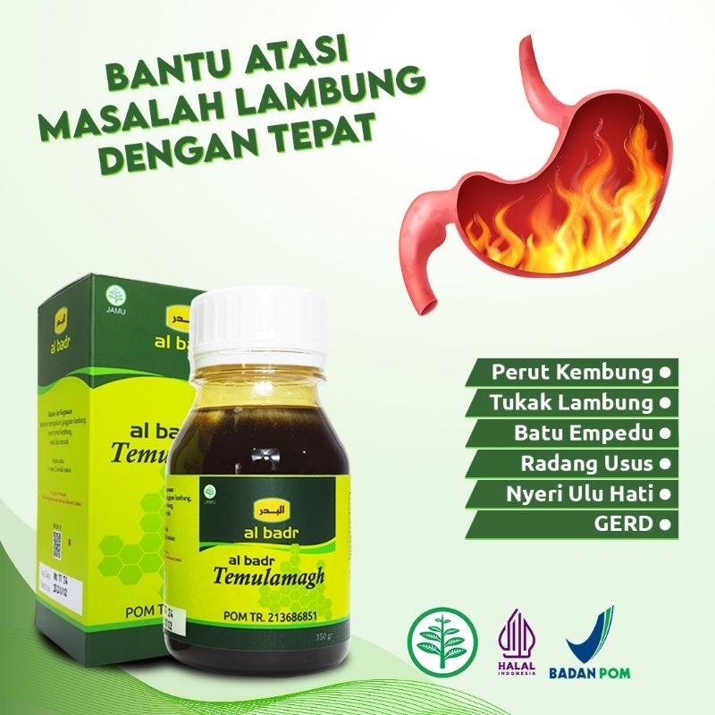 

Madu Temulawak 350gr Albadr mengatasi gangguan lambung