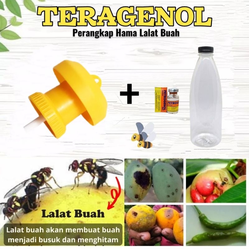 Teragenol Wadah Petrogenol Perangkap Lalat Buah_Botol perangkap lalat buah
