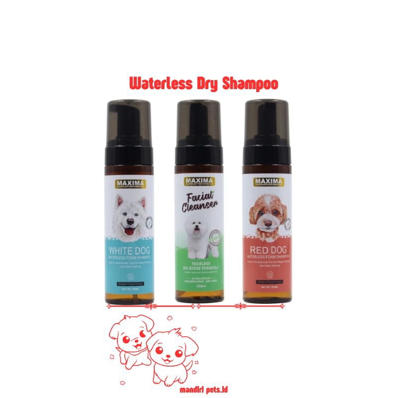 Dry Shampoo Waterless Anjing - Maxima Dry Shampoo Poodle - Shampoo Anjing Poodle