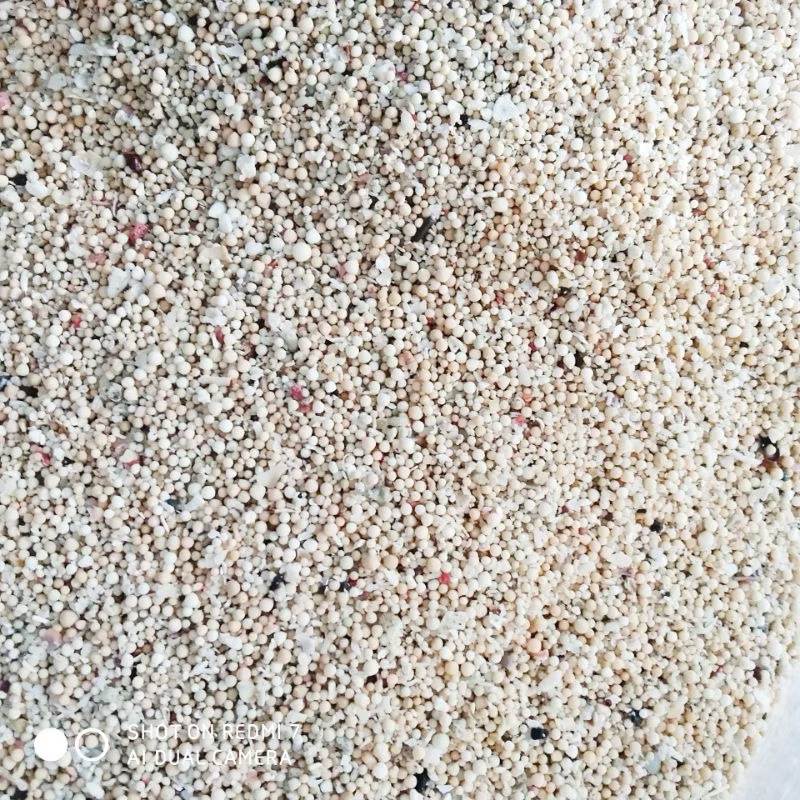 Pasir Bali dasaran substrat hiasan aquarium aquascape Putih 500 GRAM
