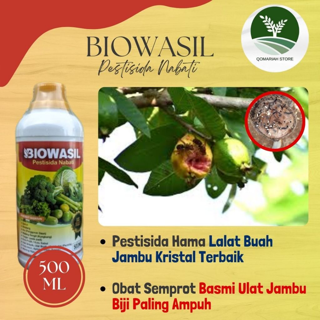 Pupuk Pestisida Lalat Buah Jambu Kristal terbaik - BIOWASIL 500ML - Insektisida nabati basmi lalat b