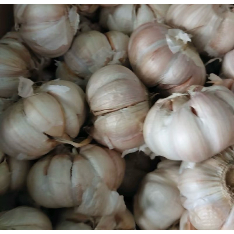 

bawang putih super bersih 1kg