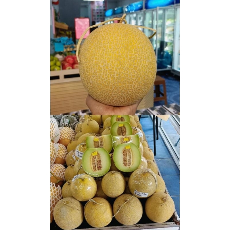 

-+1,1kg Melon Intanon // melon hidroponik Intanon // melon Jawa ( manis & juice ) fresh
