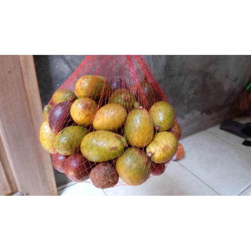 

buah matoa manis fresh baru petik 1kg