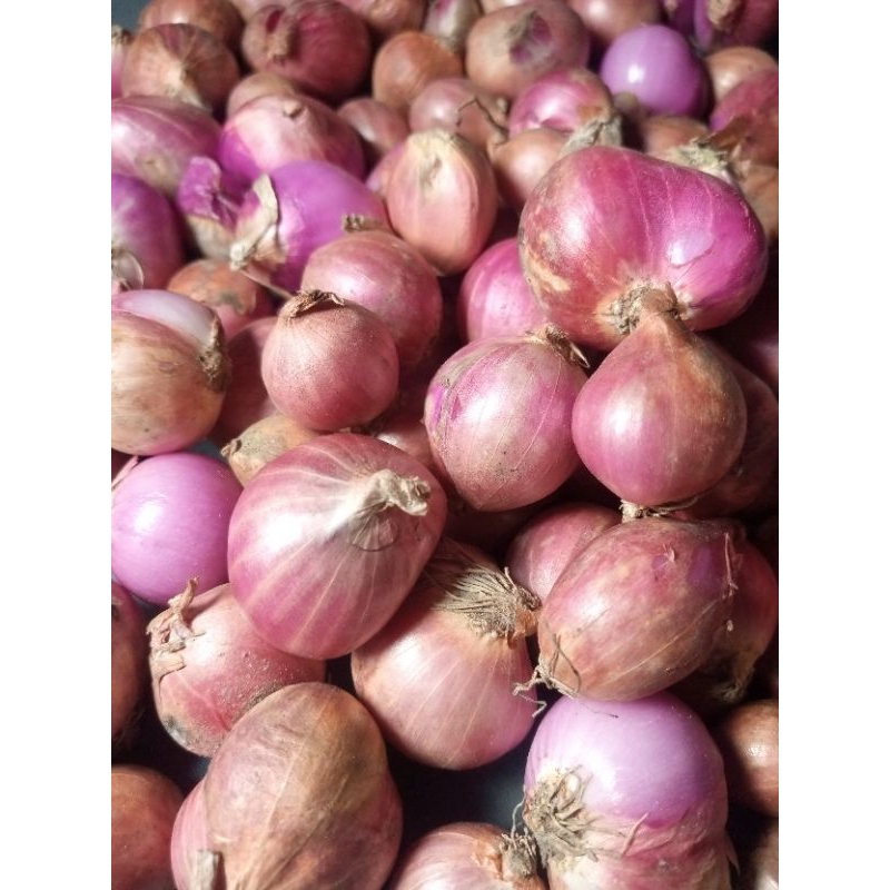 

Bawang Merah Bima 1kg