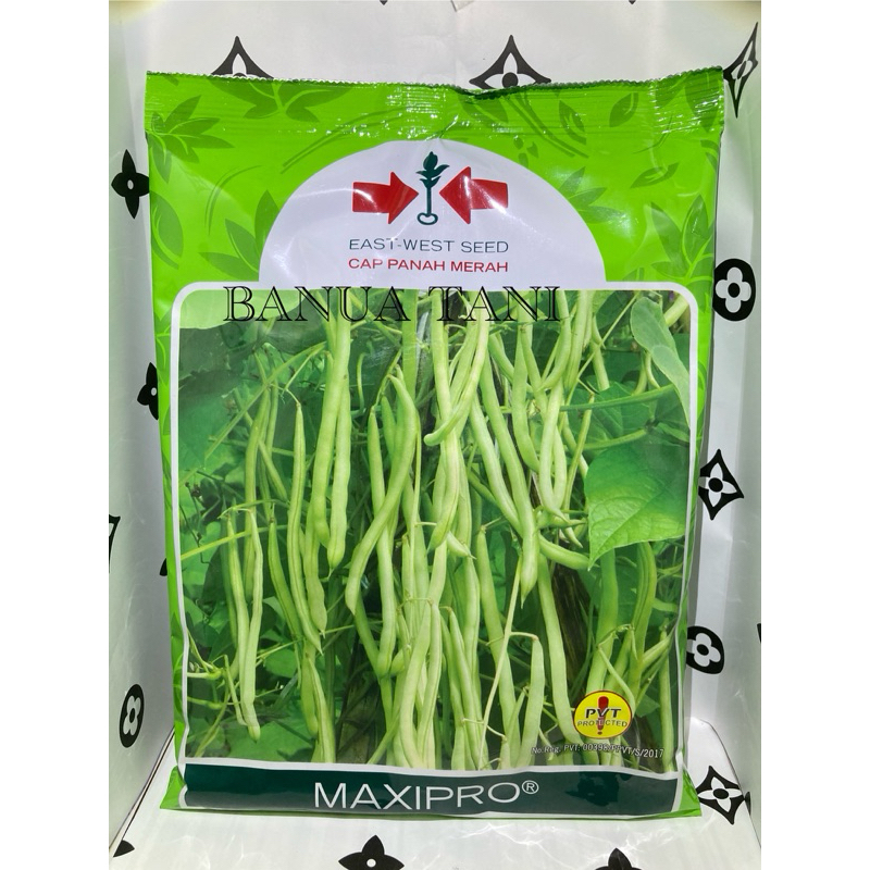

BENIH BIBIT BUNCIS MAXIPRO ISI 500gram