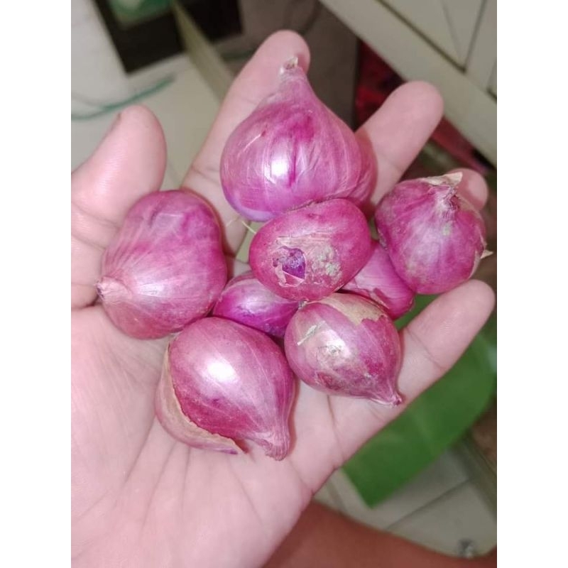 

BAWANG MERAH SUPER / BAWANG MERAH JUMBO / BAWANG MERAH BIMA