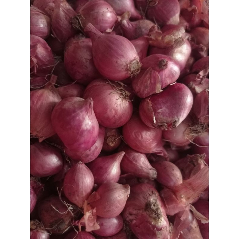 

BAWANG MERAH LOKAL KERING 500grm harga 20.000