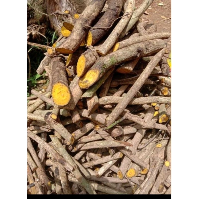 

kayu kuning/kie koneng kering 1kg herbal tradisional