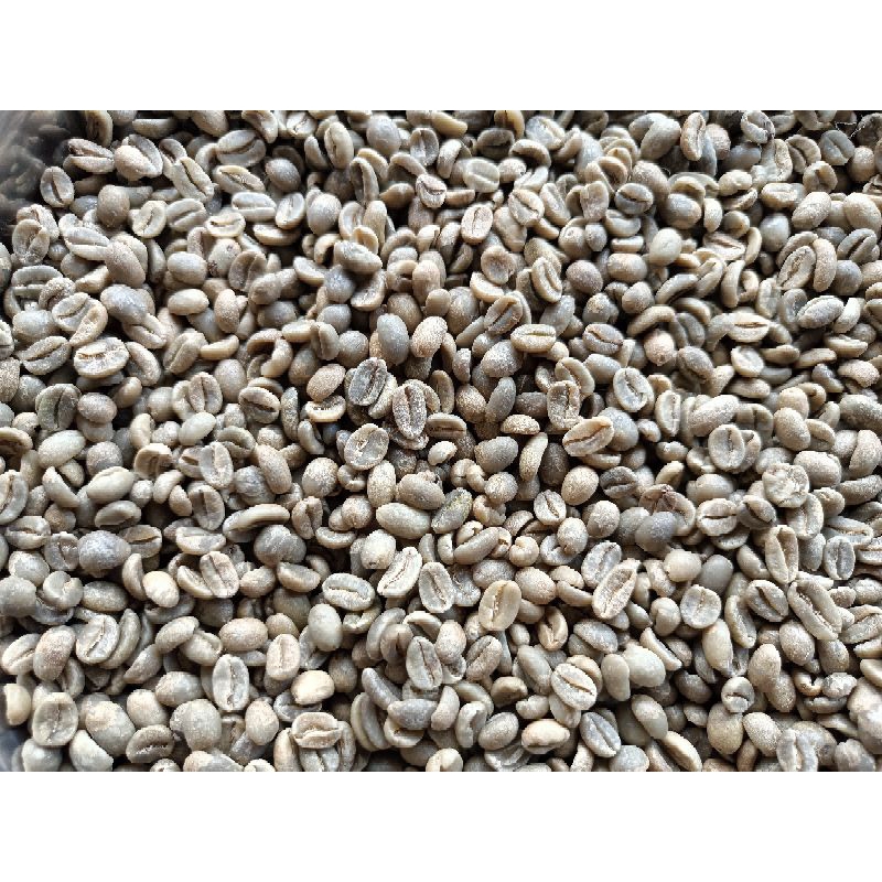 

green bean arabica ijen fullwash grade 1