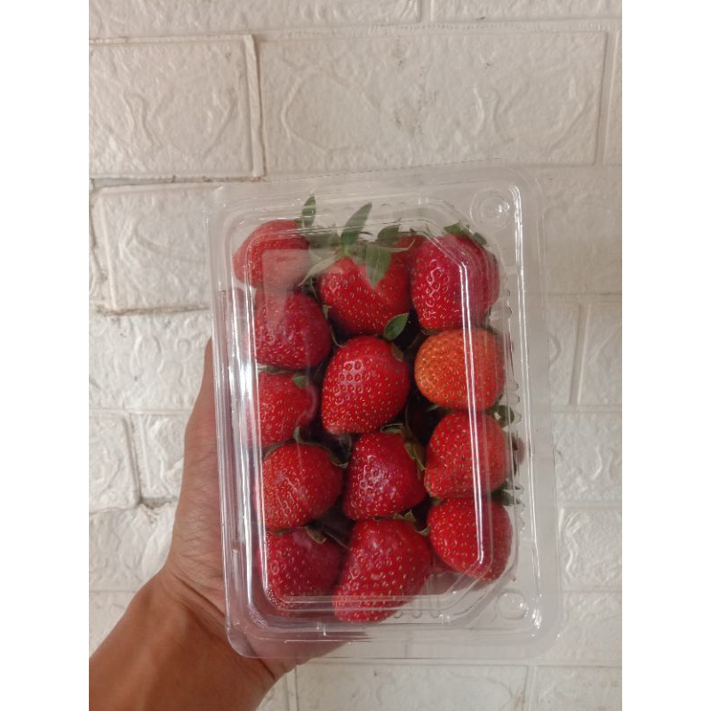 

Buah buahan segar serba 12K