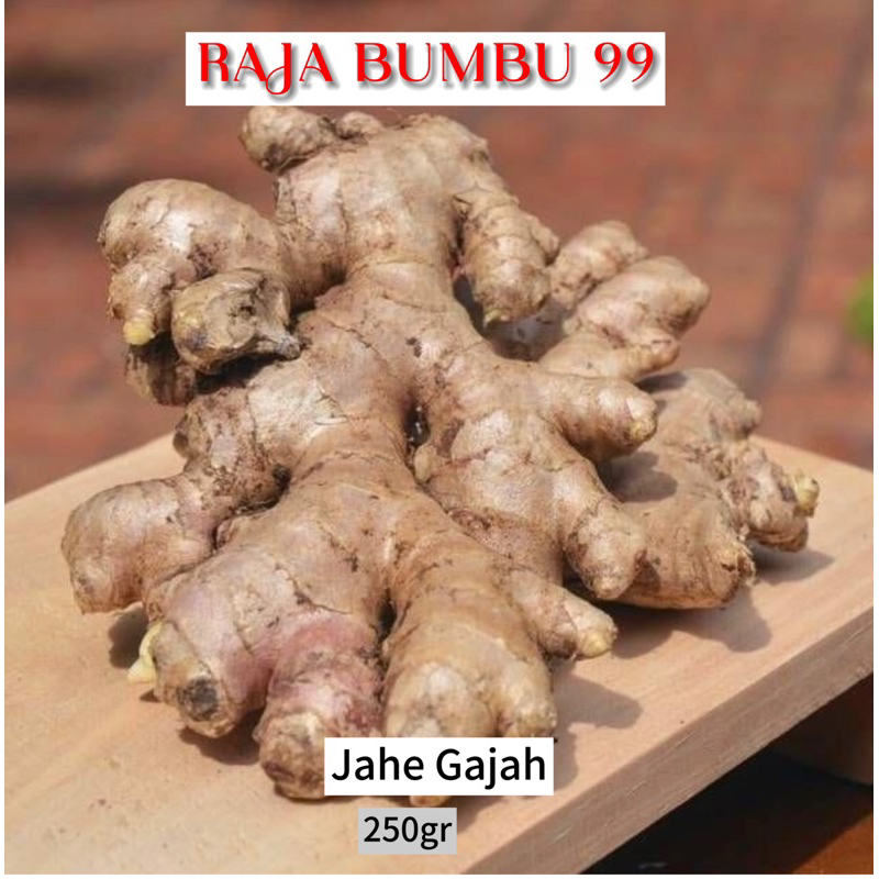 

JAHE GAJAH 250gr