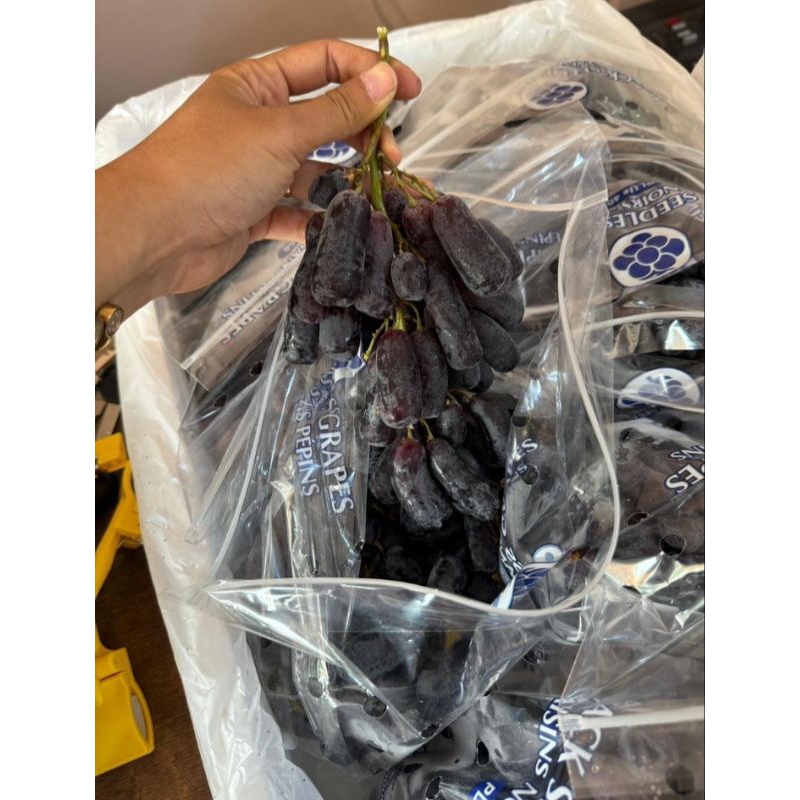 

ANGGUR SAPHIRE ANGGUR JARI FRESH KILOAN