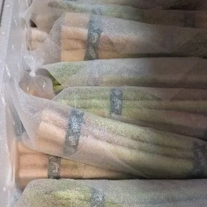 

sayur asparagus fresh
