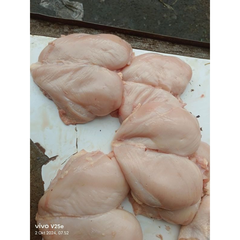 

eggrial chitken