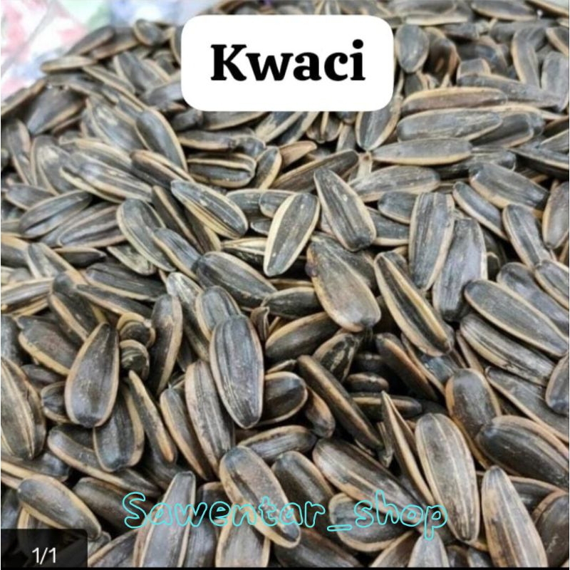 

Kuaci bunga matahari sangrai | kwaci