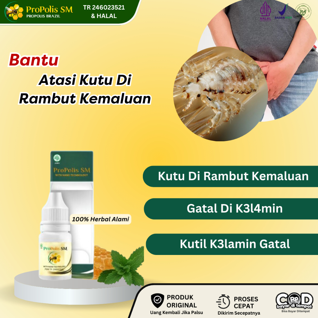 Obat Kutu Kemaluan, Obat Gatal Rambut Kemaluan, Obat Gatal Kelamin, Obat Kutu Kudis, Obat Herpes Kel