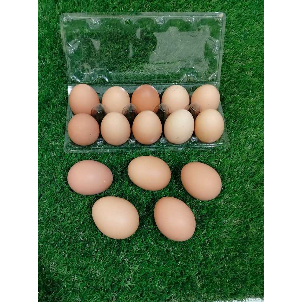 

RB CITRA FRESH - Telur Omega 10 Butir - Selalu Ready dan Fresh