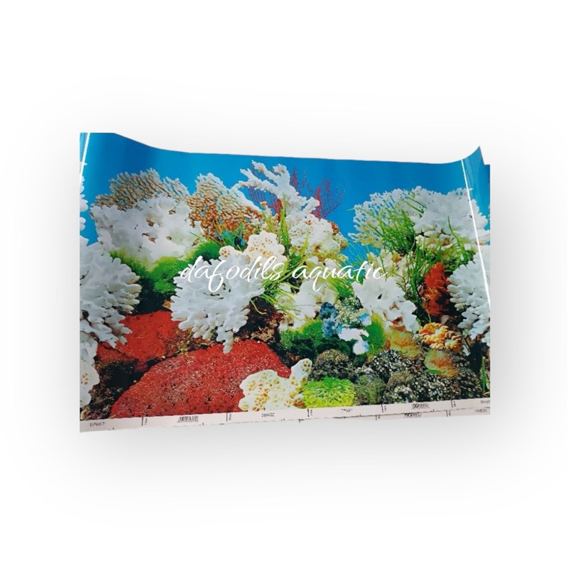 Gambar background aquarium gambar belakang aquarium per meter lebar 60 cm