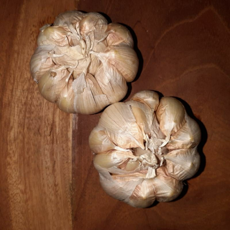

Bawang putih
