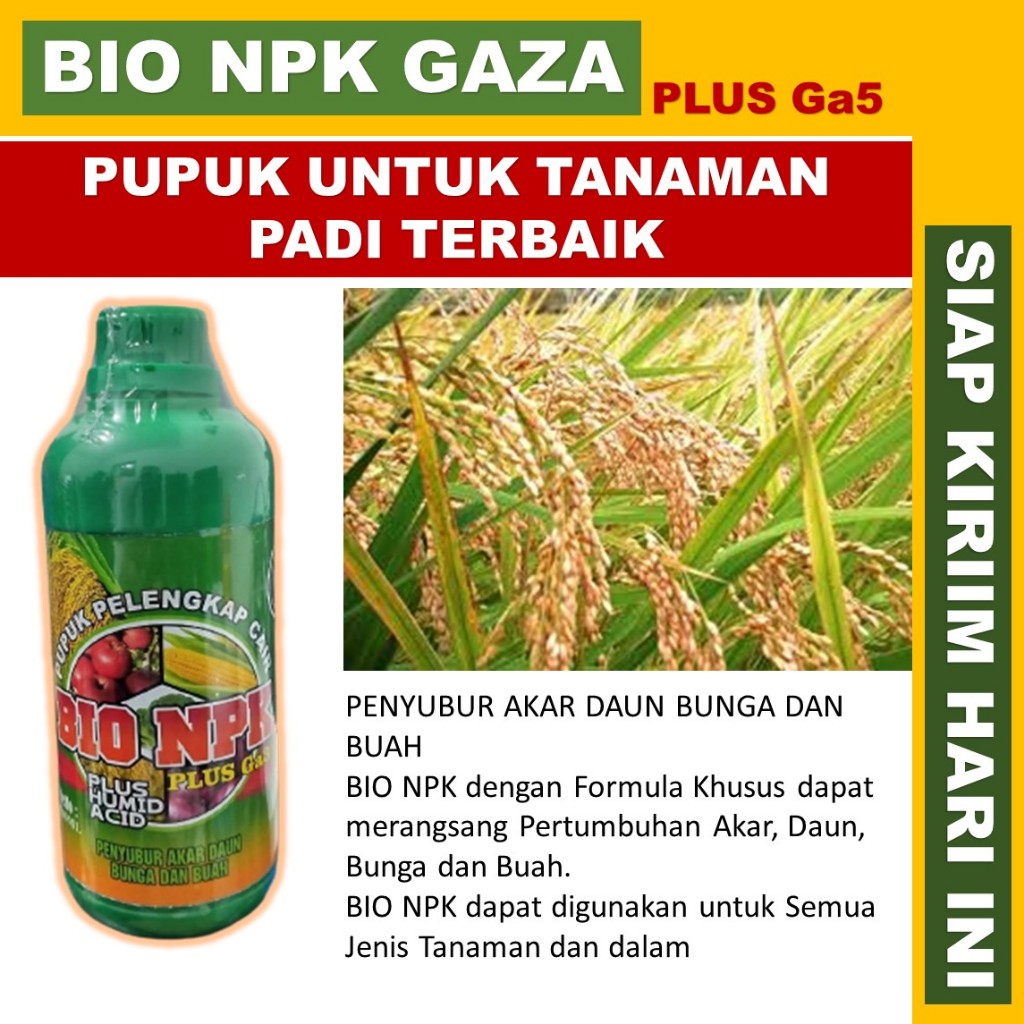 NPK GAZA 500 ml PUPUK UNTUK PADI Obat Cair Semprot untuk Padi Sawah - Pupuk Organik Pelengkap Tanama