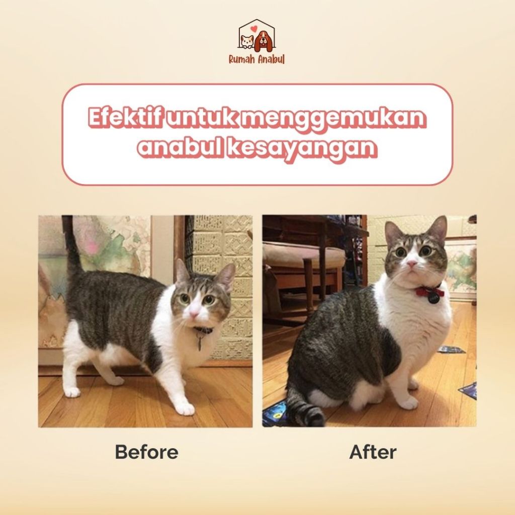 Wulann_Gemintang Vitamin Gemuk Kucing Penambah Nafsu Makan Anjing Obat Penggemuk Untuk Fitamin Anak