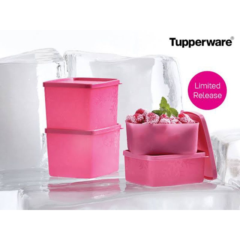 Frozen Square Set Tupperware