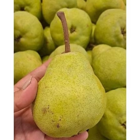 

pear packham