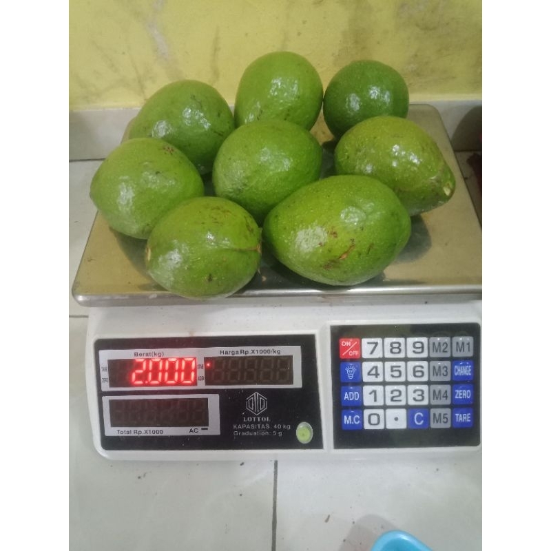 

2Kg Alpukat Kualitas Super Fresh berat 2 Kg isi ( 8 Buah ) murah