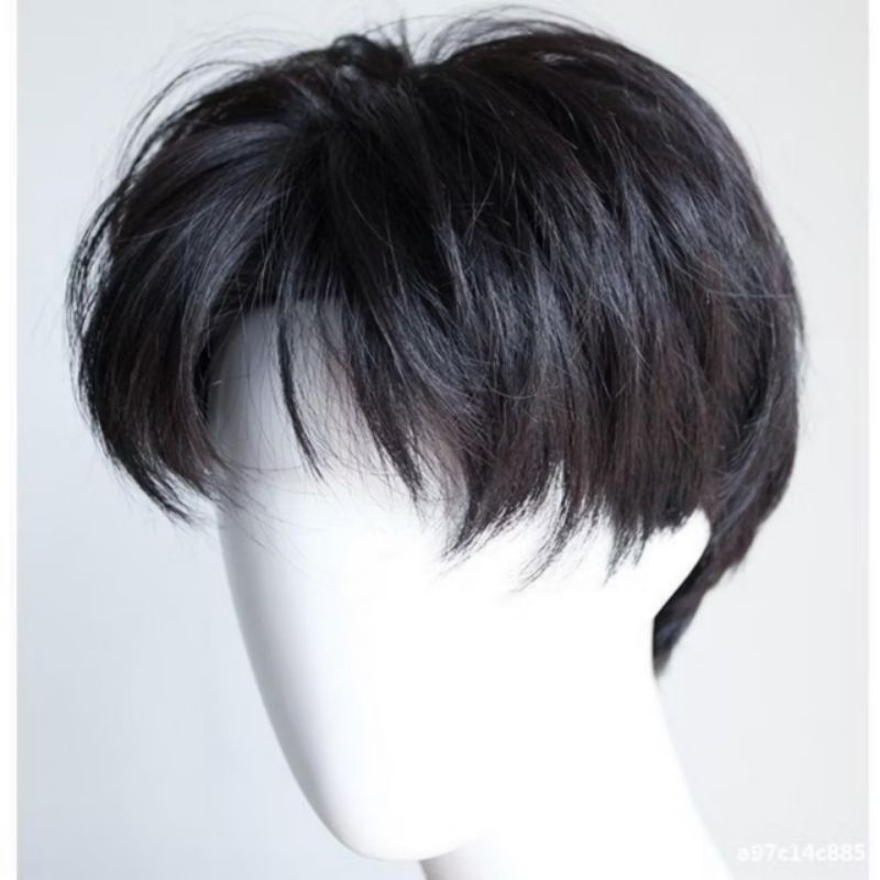 WIG PRIA KOREA TAMPAN PONI BELAHAN TENGAH RAMBUT LURUS PENDEK/WIG PRIA KOREA BELAH TENGAH