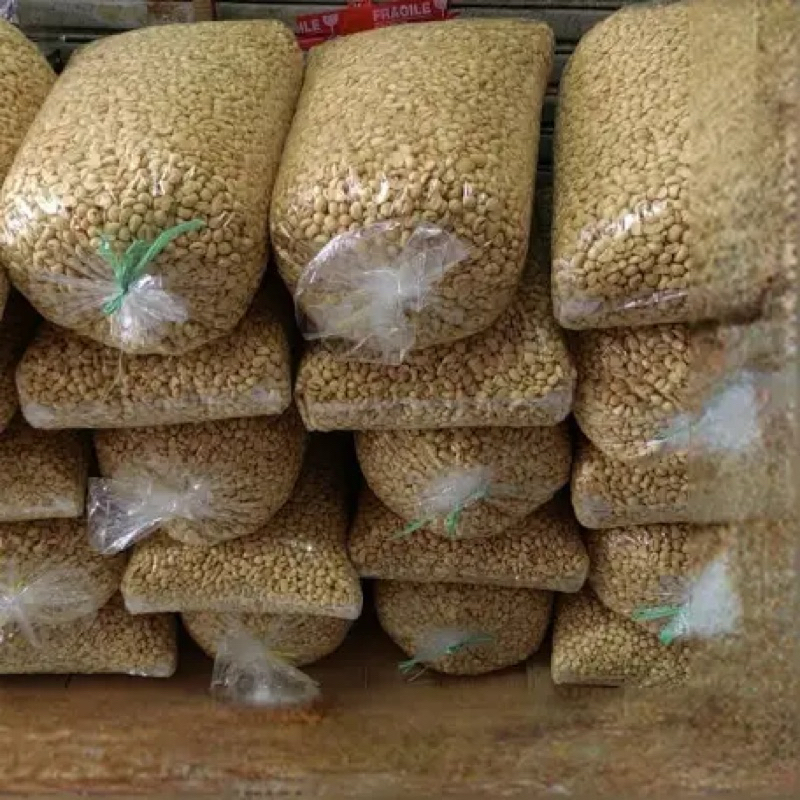 

1 BAL (10KG) KACANG BOGOR ASLI