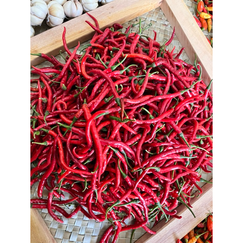 

Cabai kriting imperal berat 500gr Banyuwangi