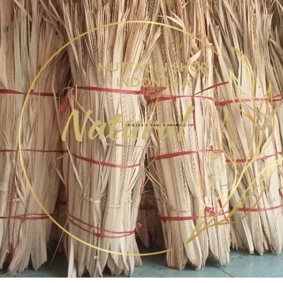 

Busung Ibung Bali (NATURAL ALAMI non KIMIA) 1 PUCUK FULL UTUH
