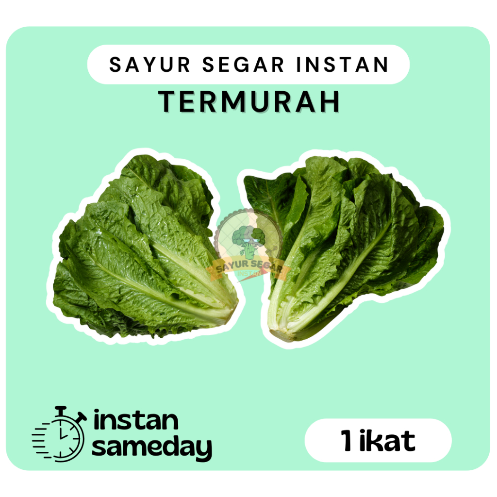 

Sayur Romaine Lettuce 1 Ikat