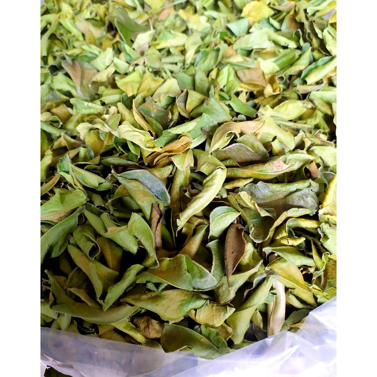 

Daun Jeruk Kering 200gr