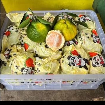 

Buah Jeruk Papagan Jual Per 1 Dus/Krat