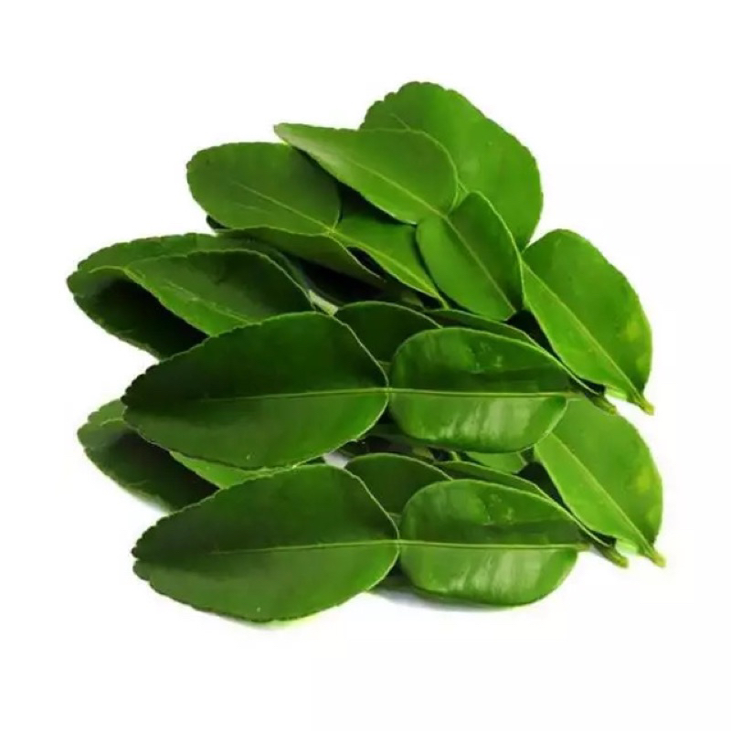 

Daun Jeruk Segar 1 pack