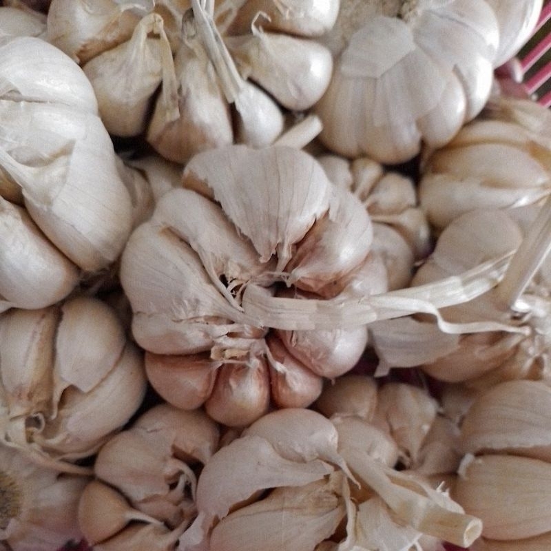 

Bawang Putih, Bawang Putih 1kg, Bumbu Dapur Bawang Putih